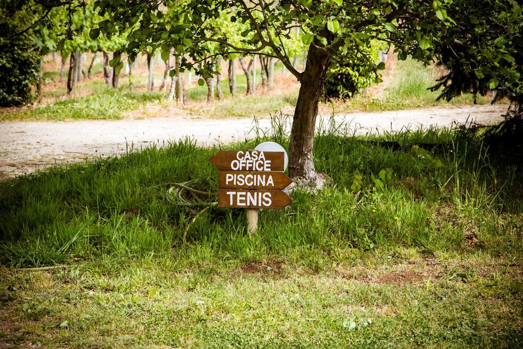 Quinta De Lourosa Guest House Лоузада Екстериор снимка