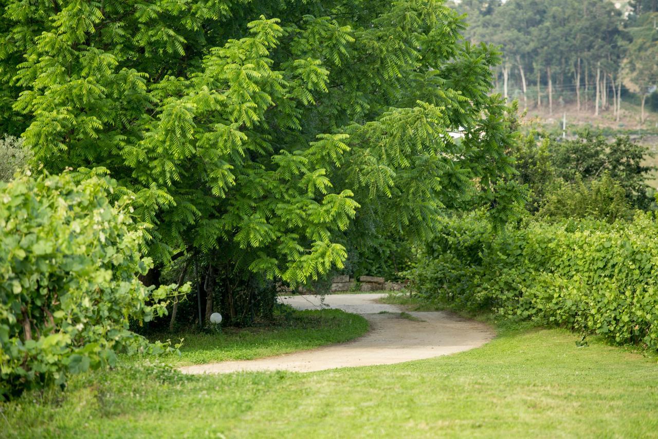 Quinta De Lourosa Guest House Лоузада Екстериор снимка